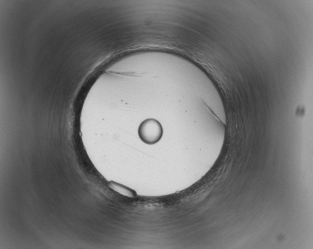 X0000116650304201001111234