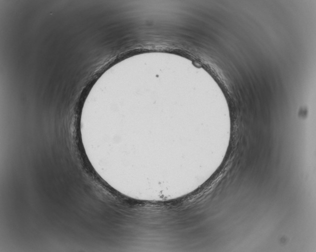 X0000116650305201001111234
