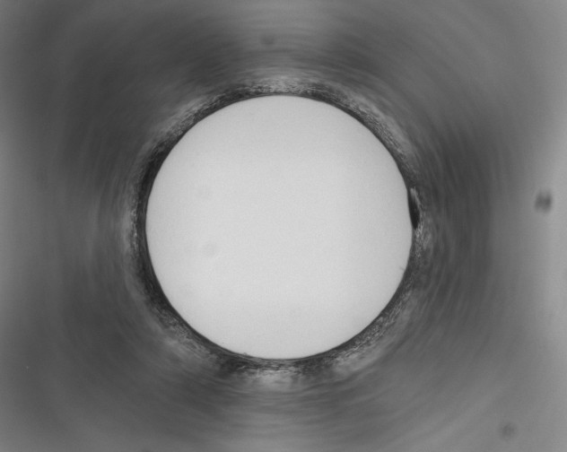X0000116650306201001111234