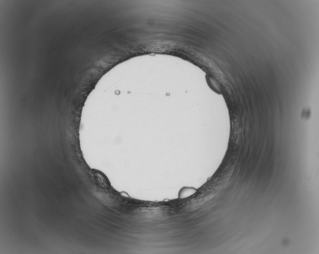 X0000116650307201001111234