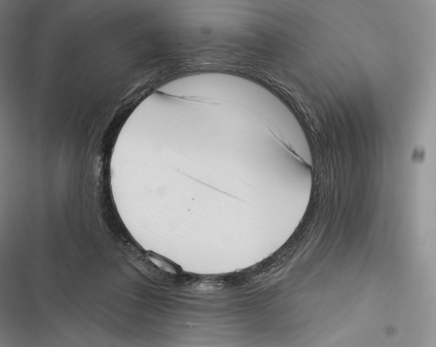 X0000116650308201001111234