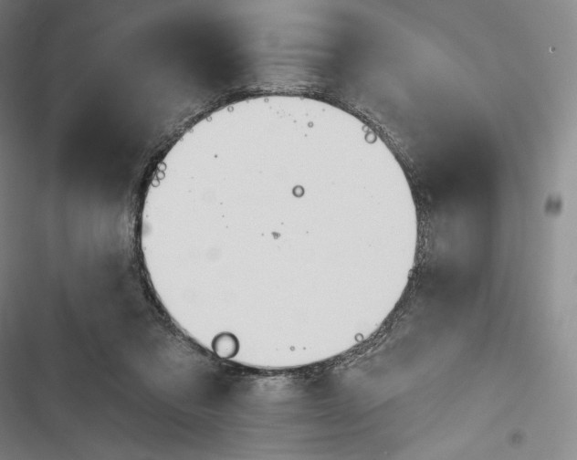 X0000116650309201001111234