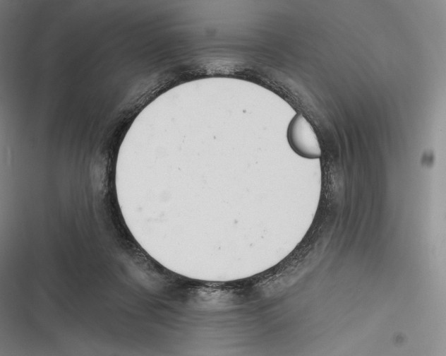 X0000116650311201001111234