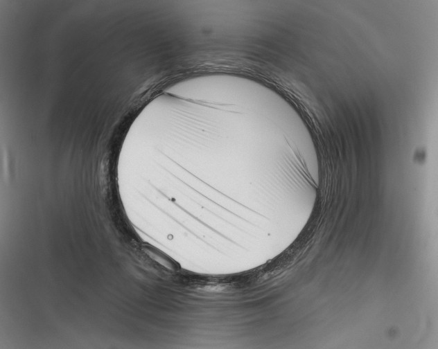 X0000116650312201001111234
