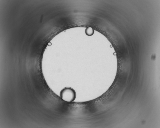 X0000116650313201001111234