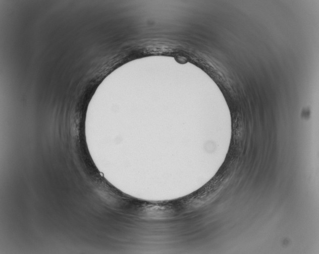 X0000116650315201001111234