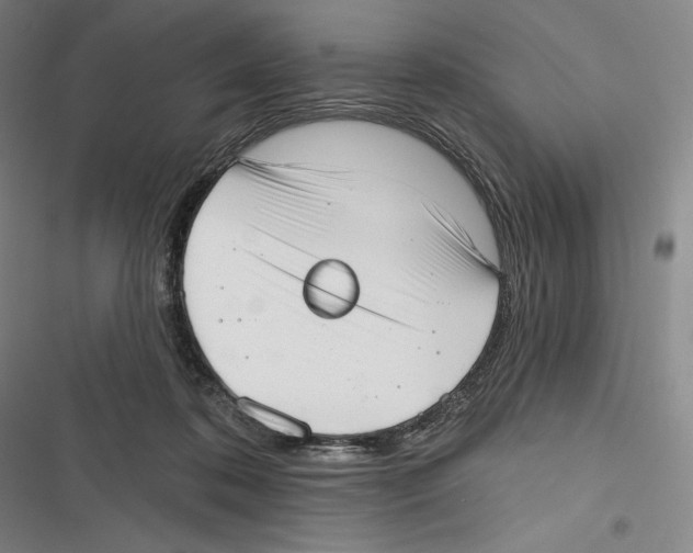 X0000116650316201001111234