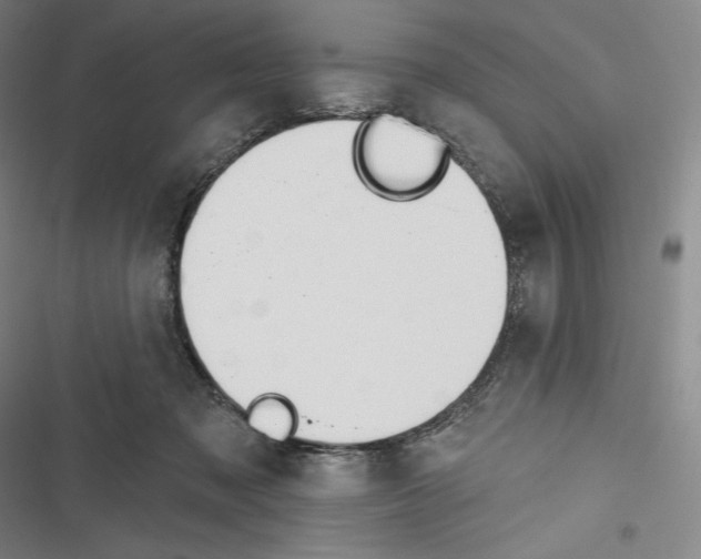 X0000116650317201001111234
