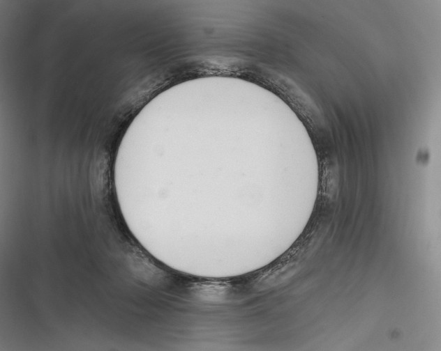 X0000116650318201001111234