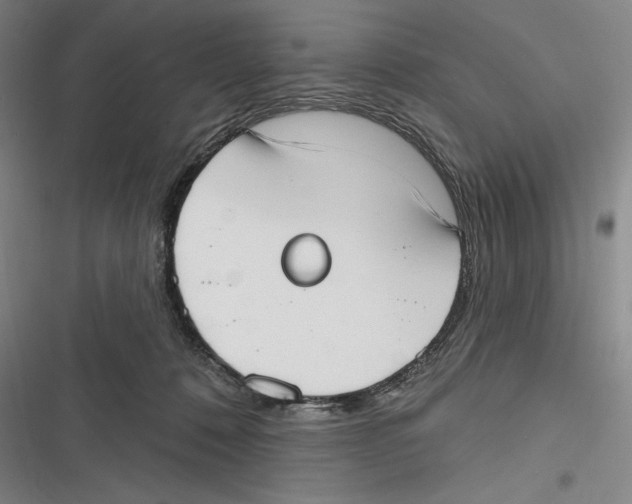 X0000116650320201001111234
