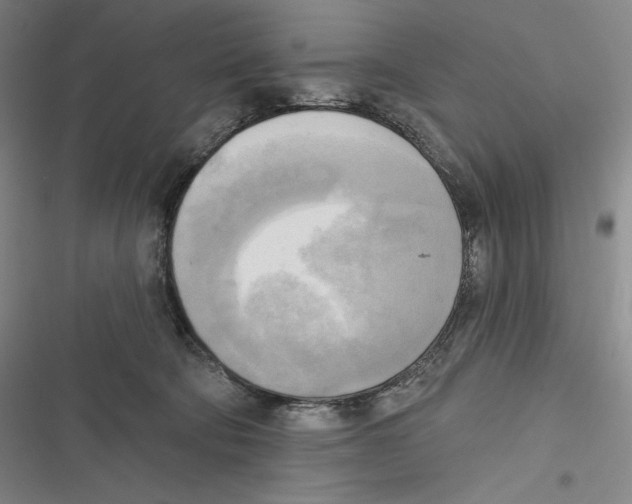 X0000116650322201001111234