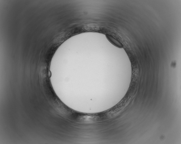 X0000116650323201001111234