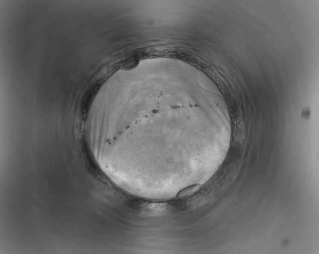X0000116650324201001111234