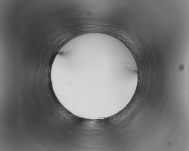 X0000116650325201001111234