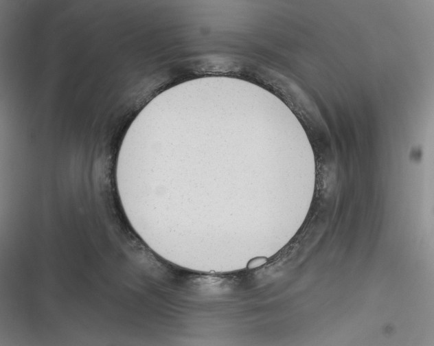 X0000116650326201001111234