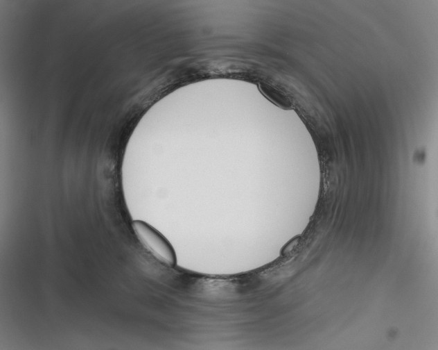 X0000116650327201001111234