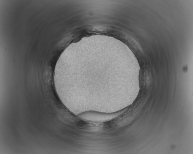 X0000116650328201001111234