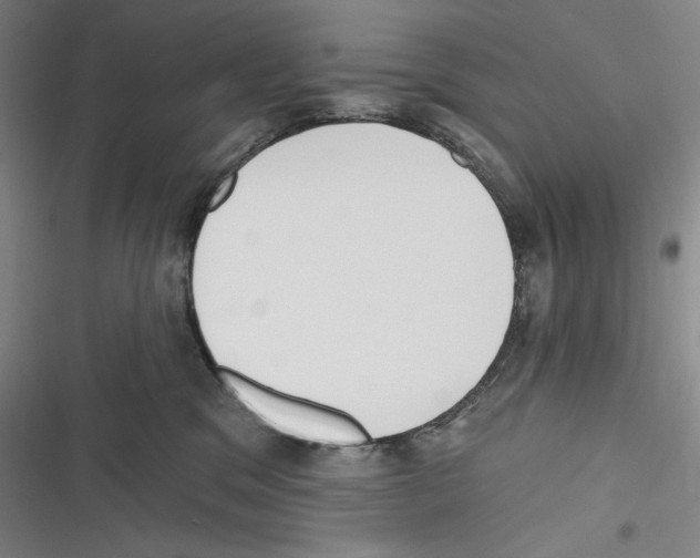 X0000116650329201001111234