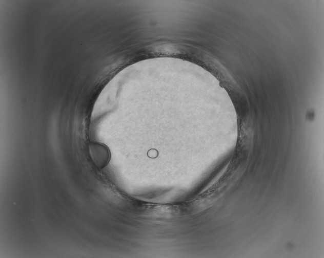 X0000116650330201001111234