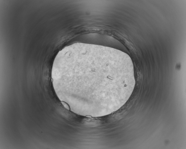 X0000116650331201001111234