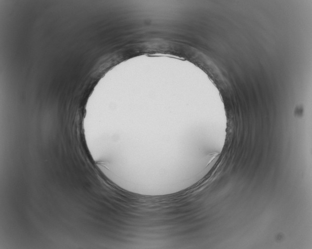 X0000116650333201001111234
