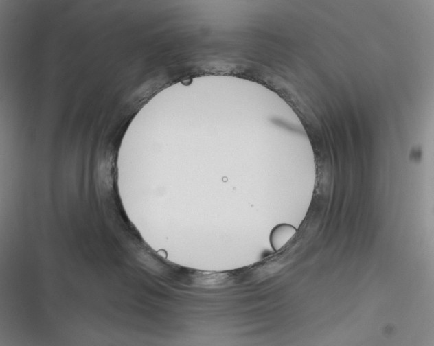 X0000116650334201001111234