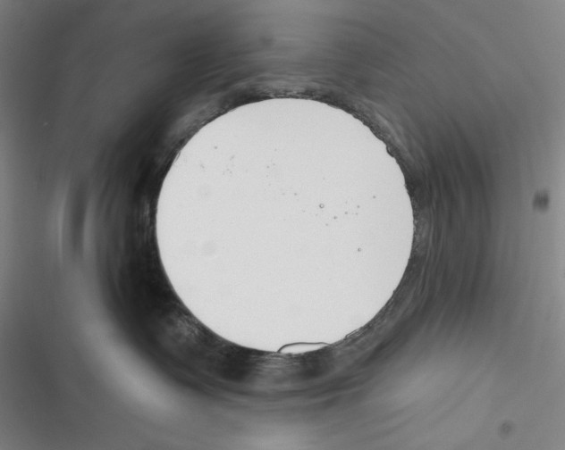 X0000116650335201001111234