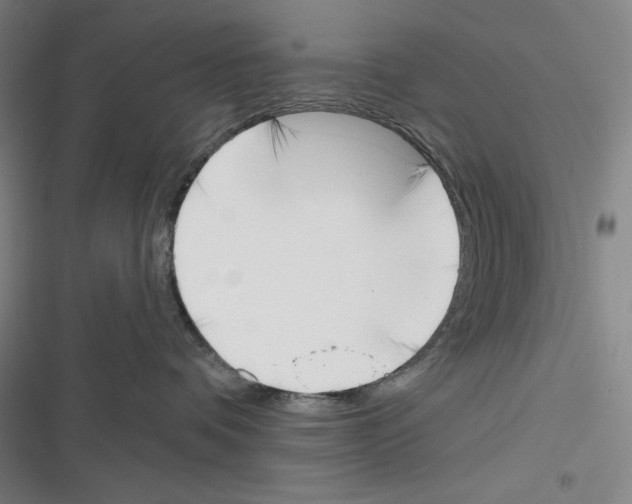 X0000116650336201001111234