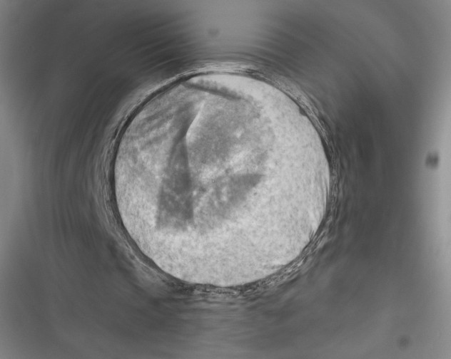 X0000116650337201001111233