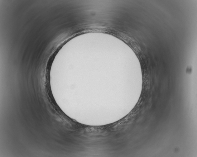 X0000116650338201001111233