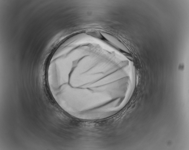 X0000116650339201001111233