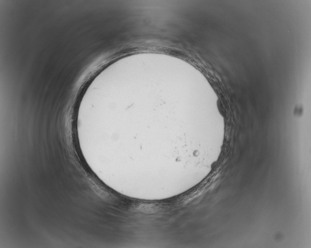 X0000116650341201001111233