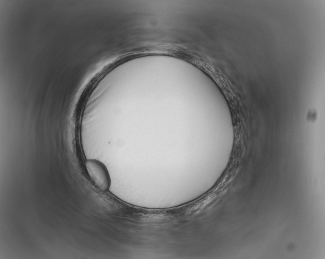 X0000116650342201001111233