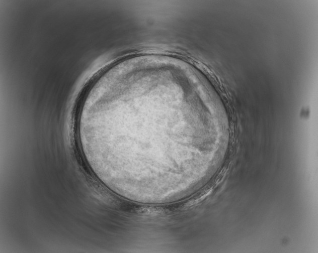 X0000116650343201001111233