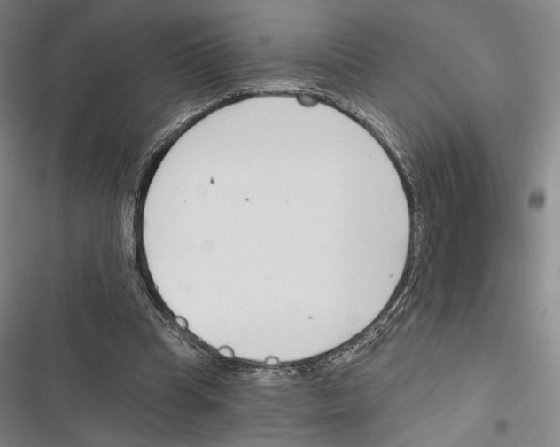 X0000116650345201001111234