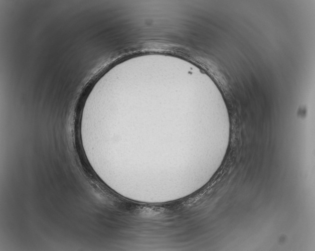 X0000116650346201001111234