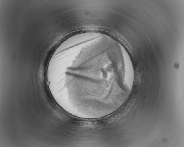 X0000116650347201001111234