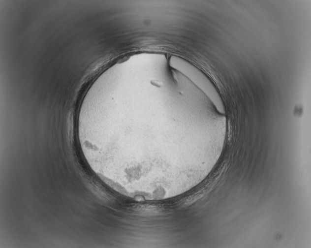 X0000116650349201001111234