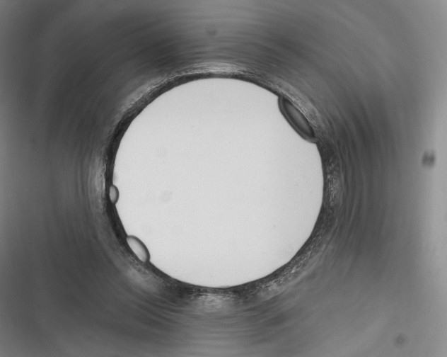X0000116650350201001111234