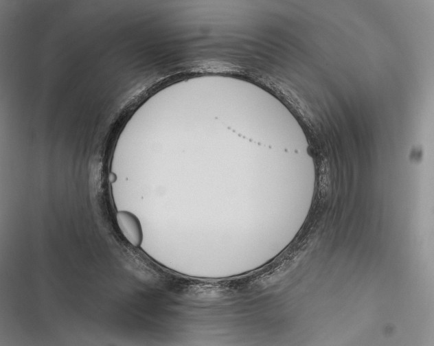 X0000116650351201001111234