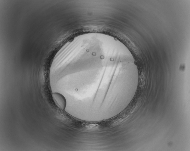 X0000116650355201001111234