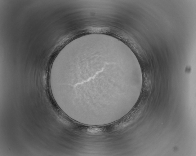 X0000116650357201001111234