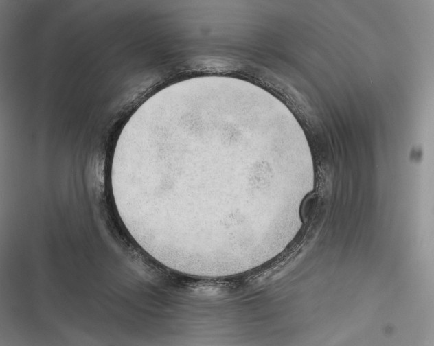 X0000116650358201001111234