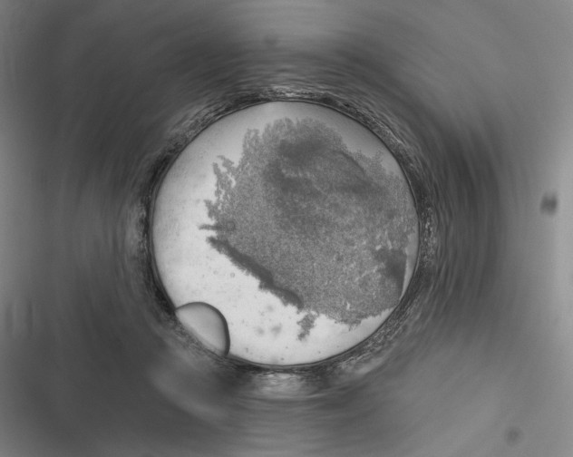 X0000116650361201001111234