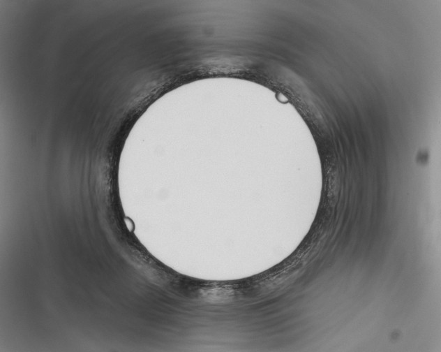 X0000116650362201001111234