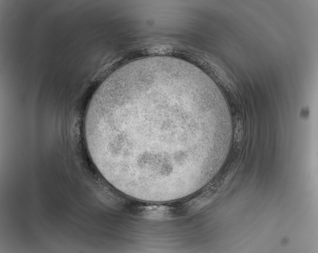 X0000116650363201001111234