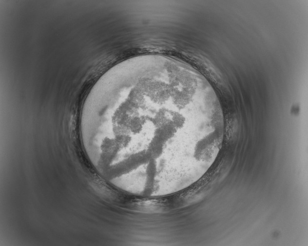 X0000116650365201001111234