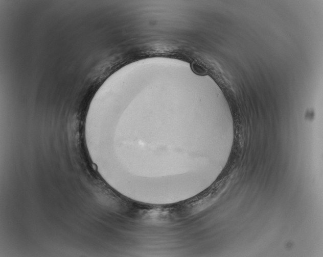 X0000116650366201001111234