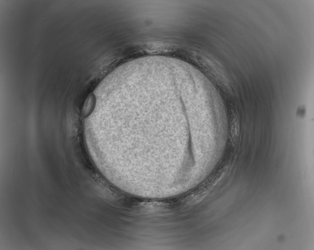 X0000116650367201001111234