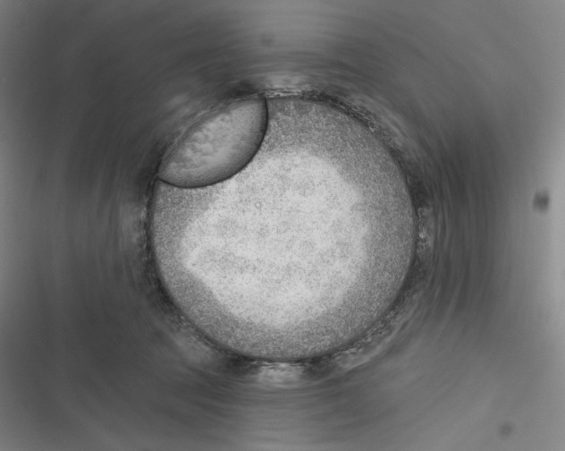 X0000116650369201001111234